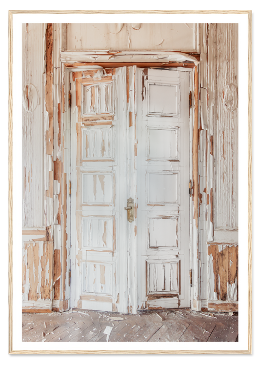 The Door