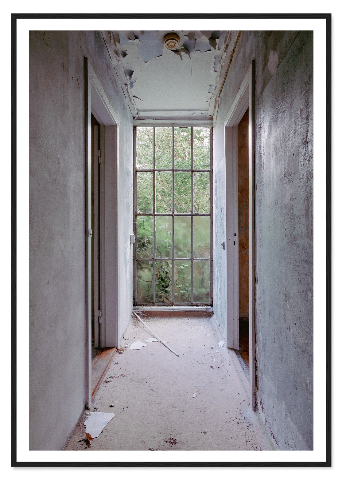 The hallway