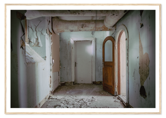 The basement