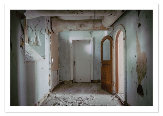 The basement