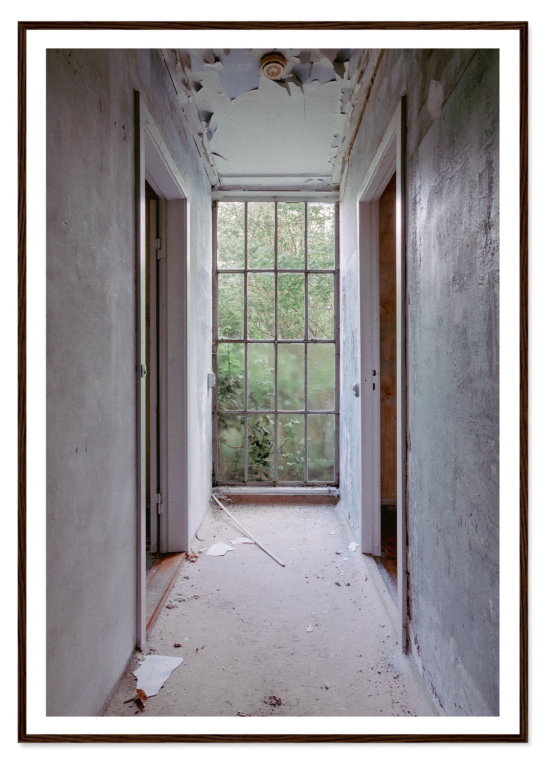 The hallway