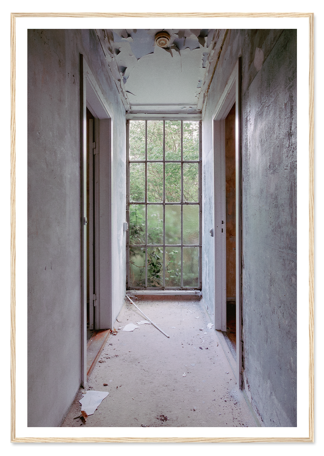 The hallway