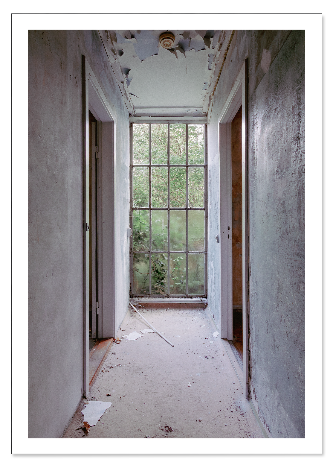 The hallway