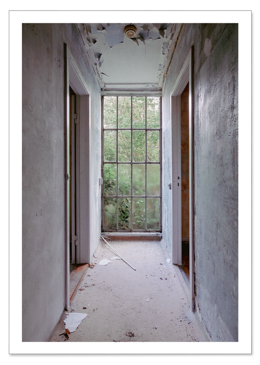 The hallway
